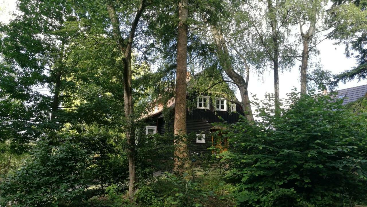 Villa "Haus Am Knobben" Uslar Exterior foto